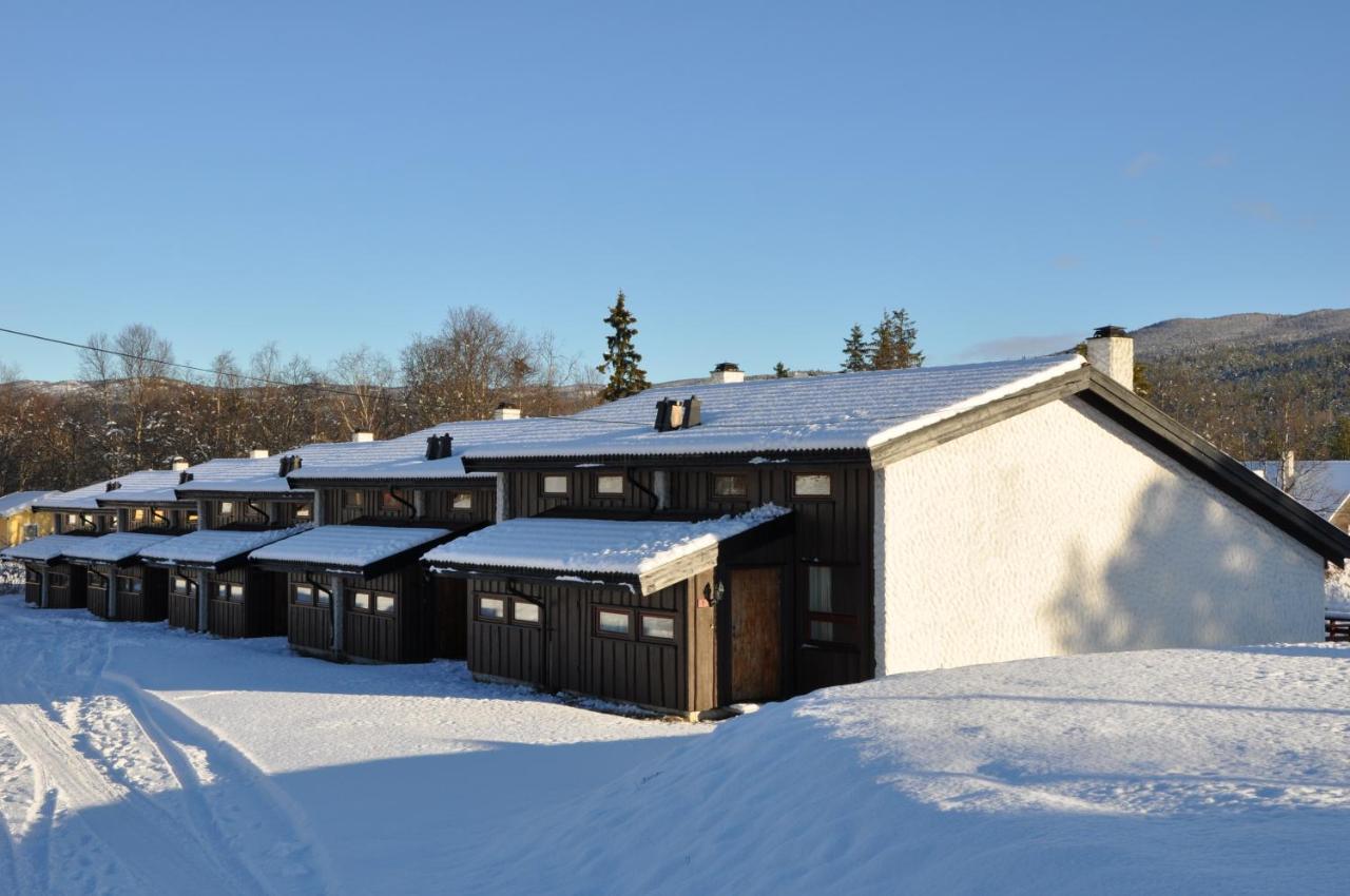 Oen Turistsenter Apartments Geilo Bagian luar foto