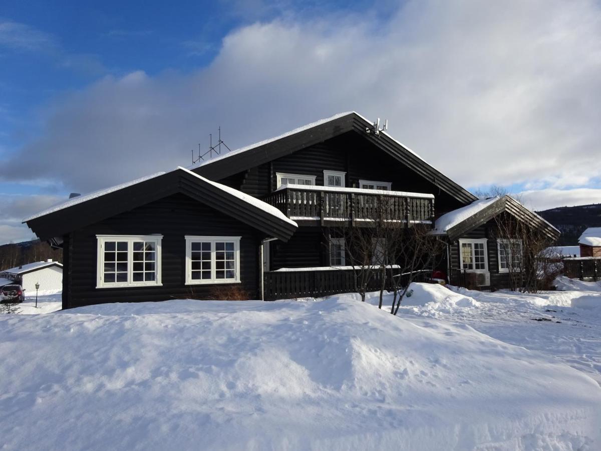 Oen Turistsenter Apartments Geilo Bagian luar foto